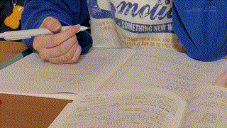 桜庭菜乃花【1sdab00334】