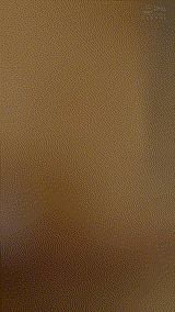 shinki188【美人ママさん 9】｜尾崎えりか