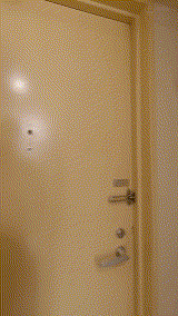 shinki223【元地方局女子アナ妻22】｜田中なな実