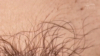 ankk095【（仮）暗黒095さん】｜横宮七海